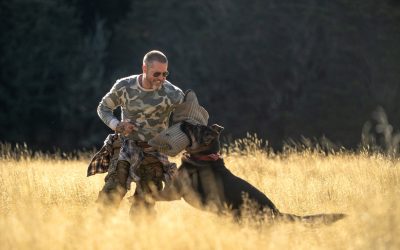 Brad Pitt y su perro de combate enfrentan su mayor desafío en “El Corazón de la Bestia”